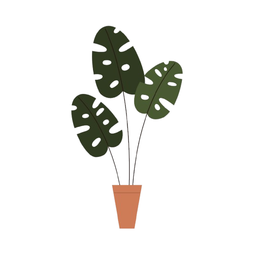 Enseigner la vérité